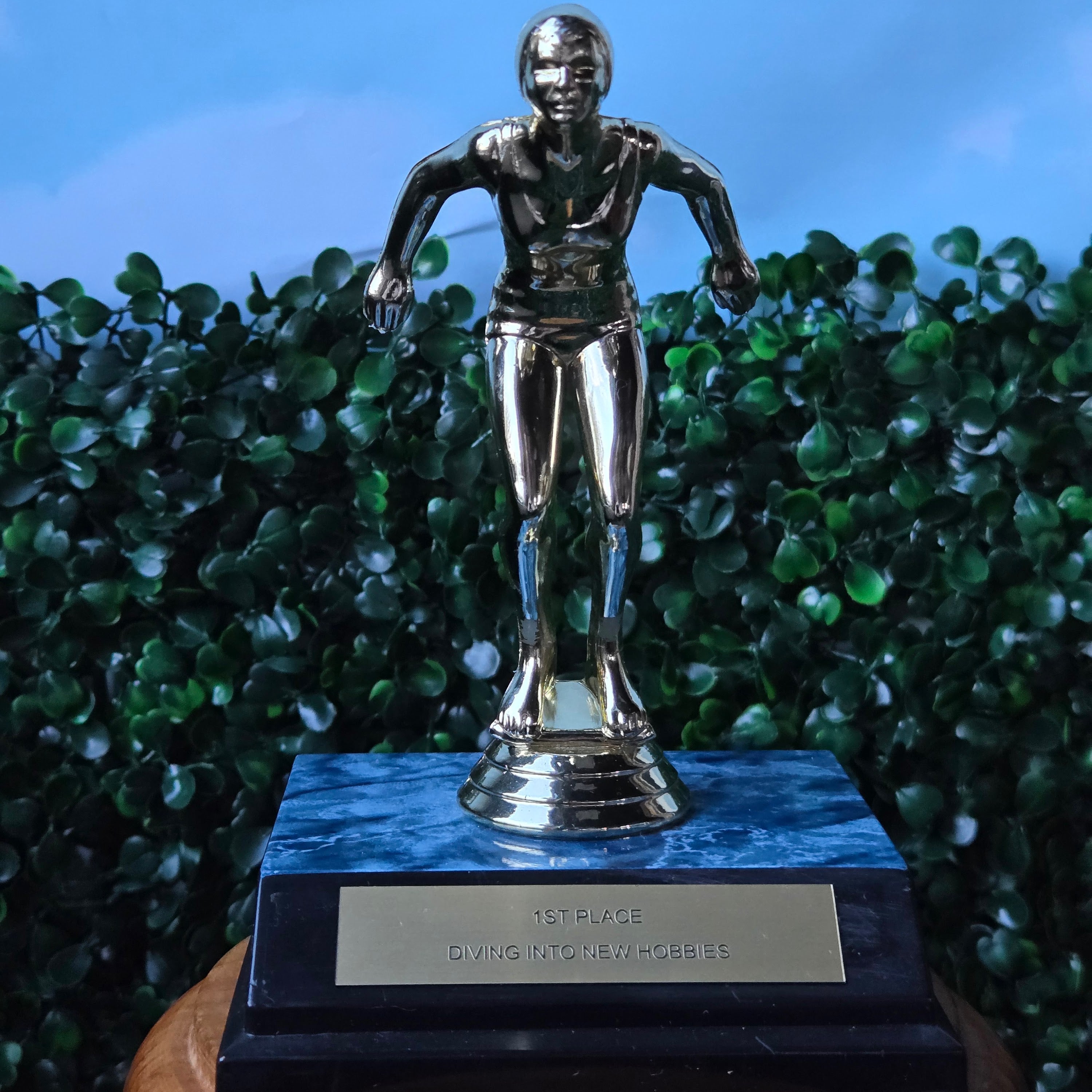 1st Place Diving into New Hobbies * Upcycled Trophy * Funny Novelty Award