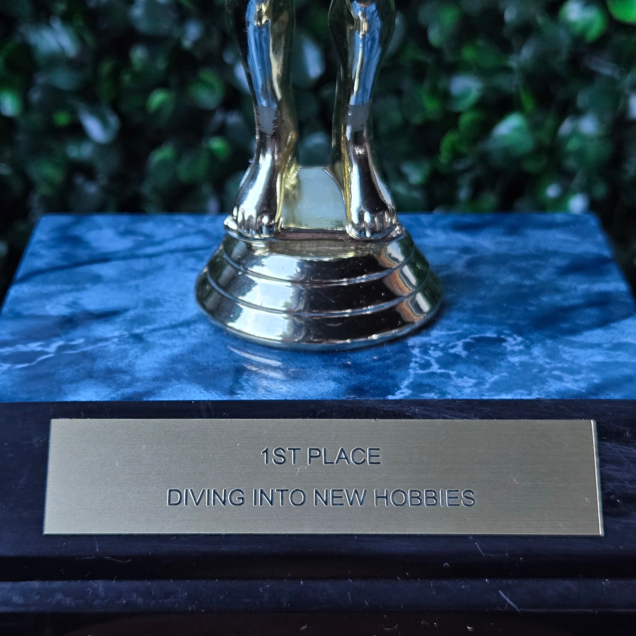 1st Place Diving into New Hobbies * Upcycled Trophy * Funny Novelty Award