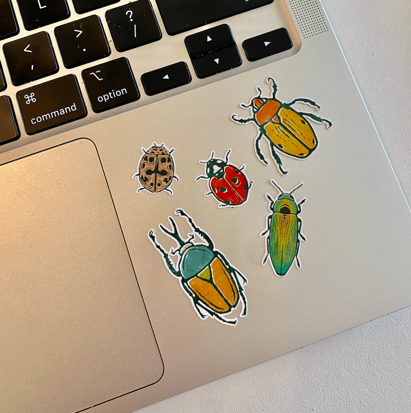 Colorful Beetles Sticker Sheet * 100% Recyclable