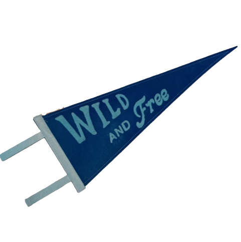 Blue pennant with 'Wild and Free' text on a brick wall