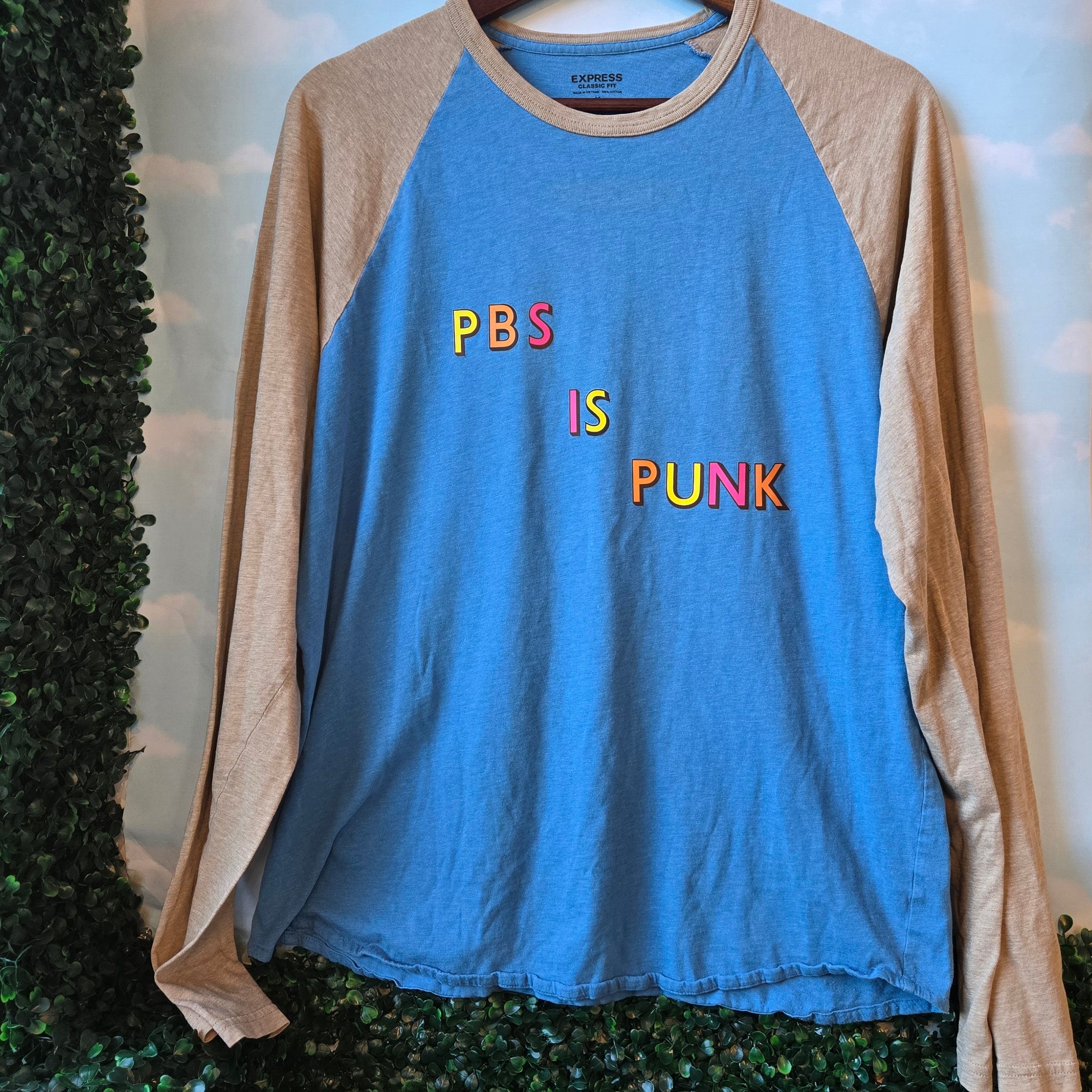 PBS is PUNK * Upcycled Raglan Tshirt * Blue & Tan Baseball Tee
