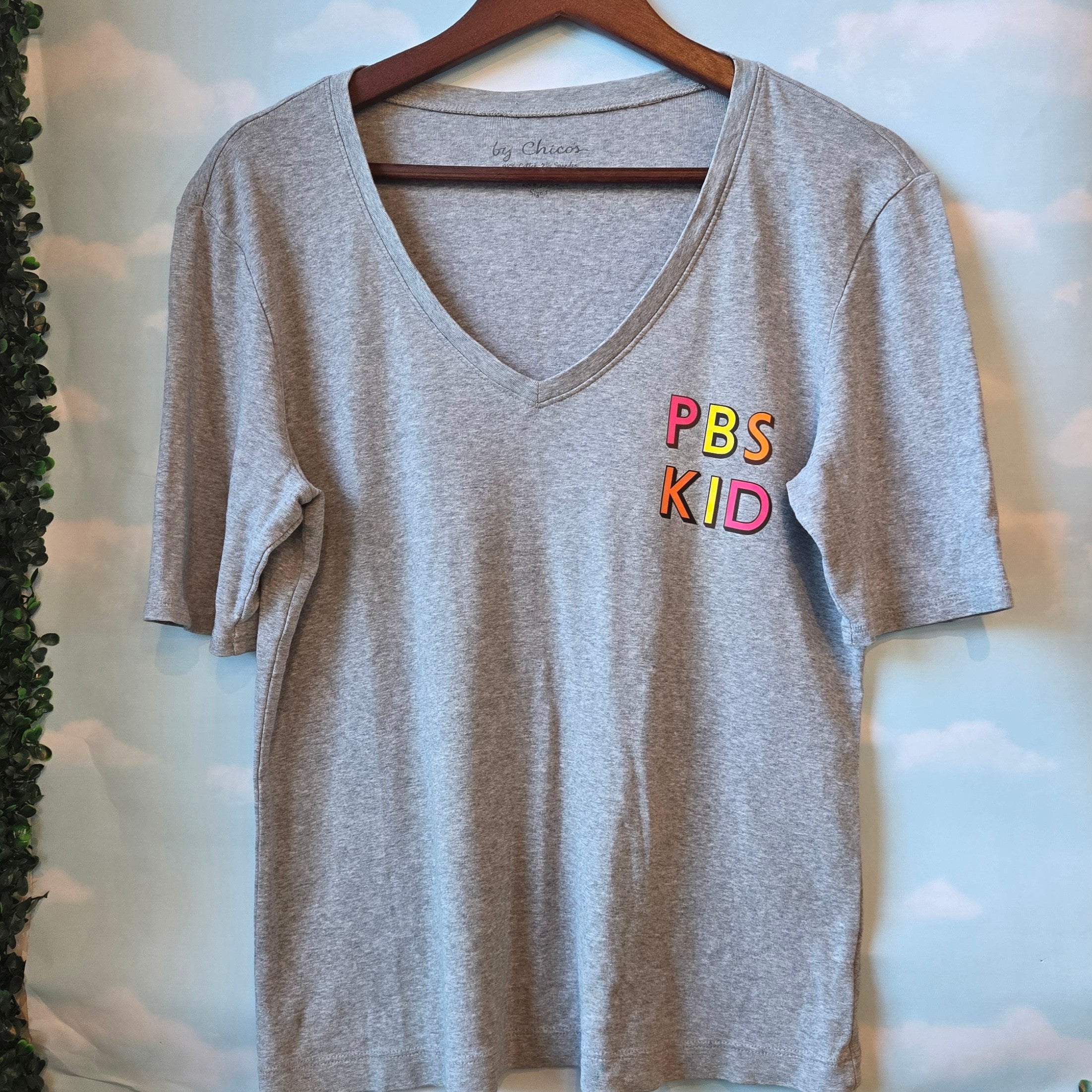 PBS Kid * Upcycled Tshirt * Gray V-Neck