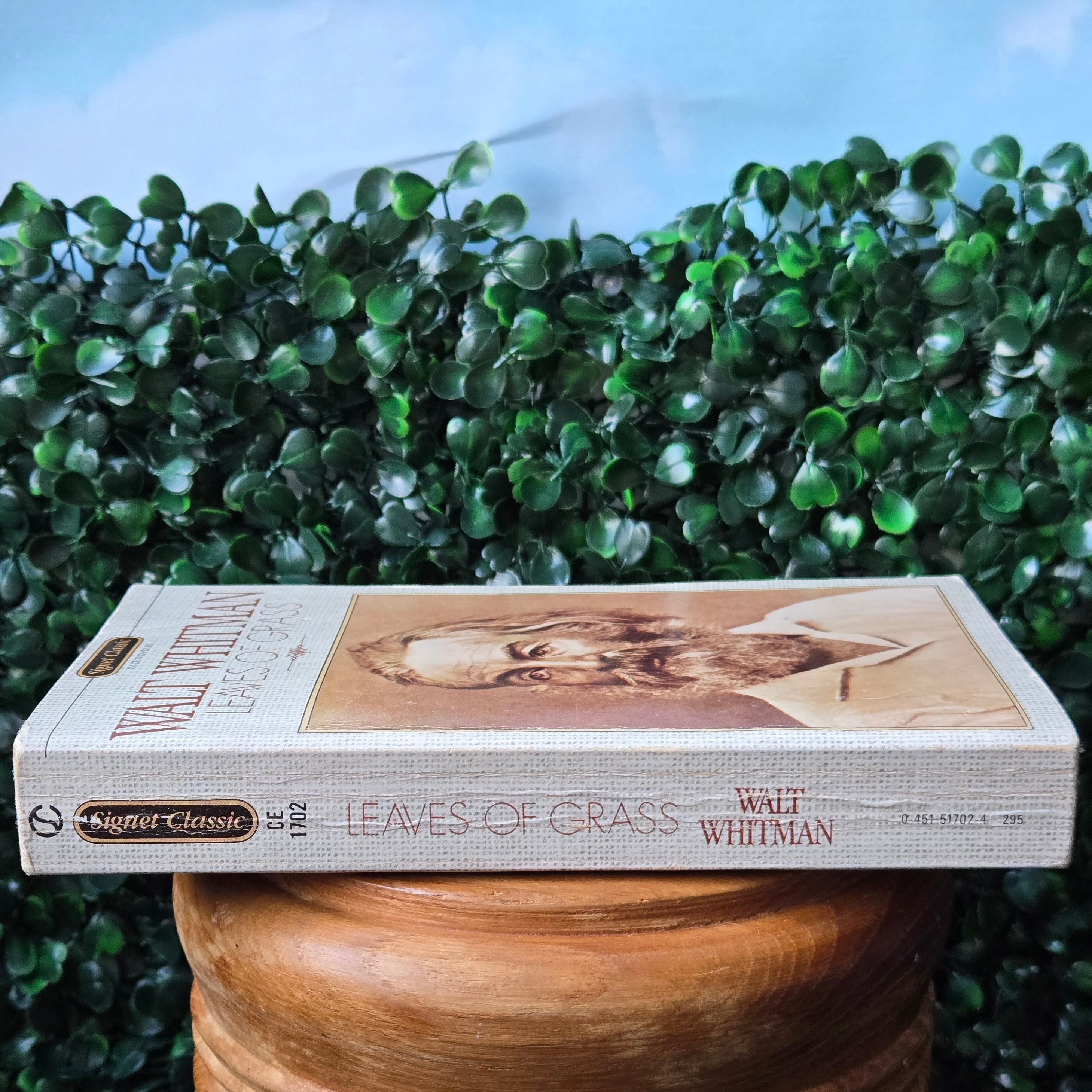 Leaves of Grass * Curated Secondhand  Books