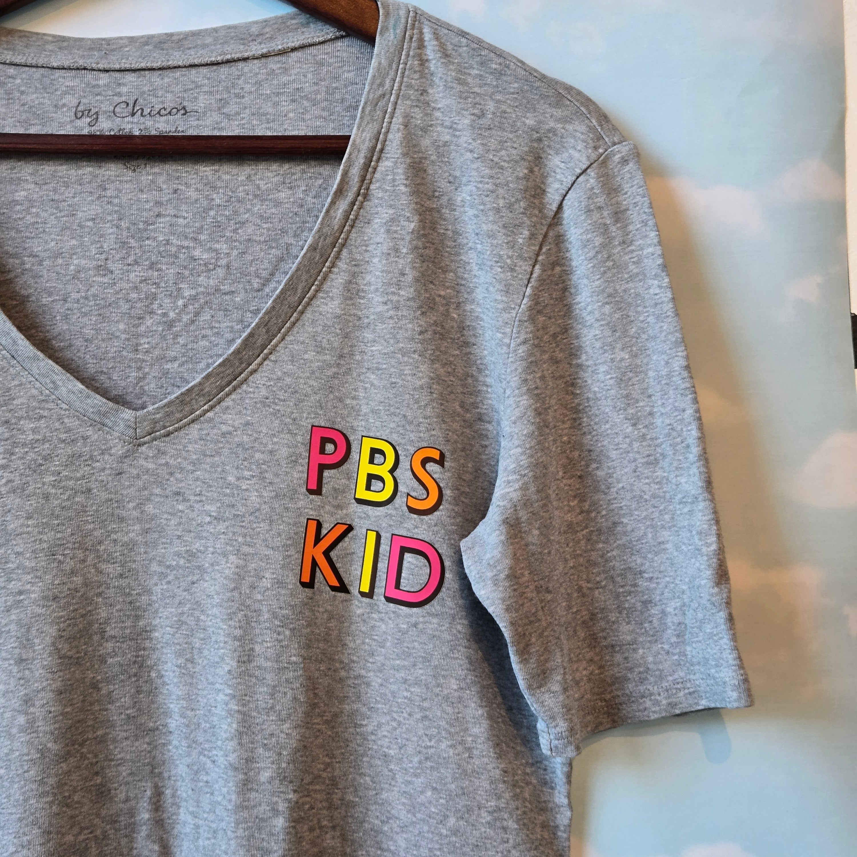 PBS Kid * Upcycled Tshirt * Gray V-Neck