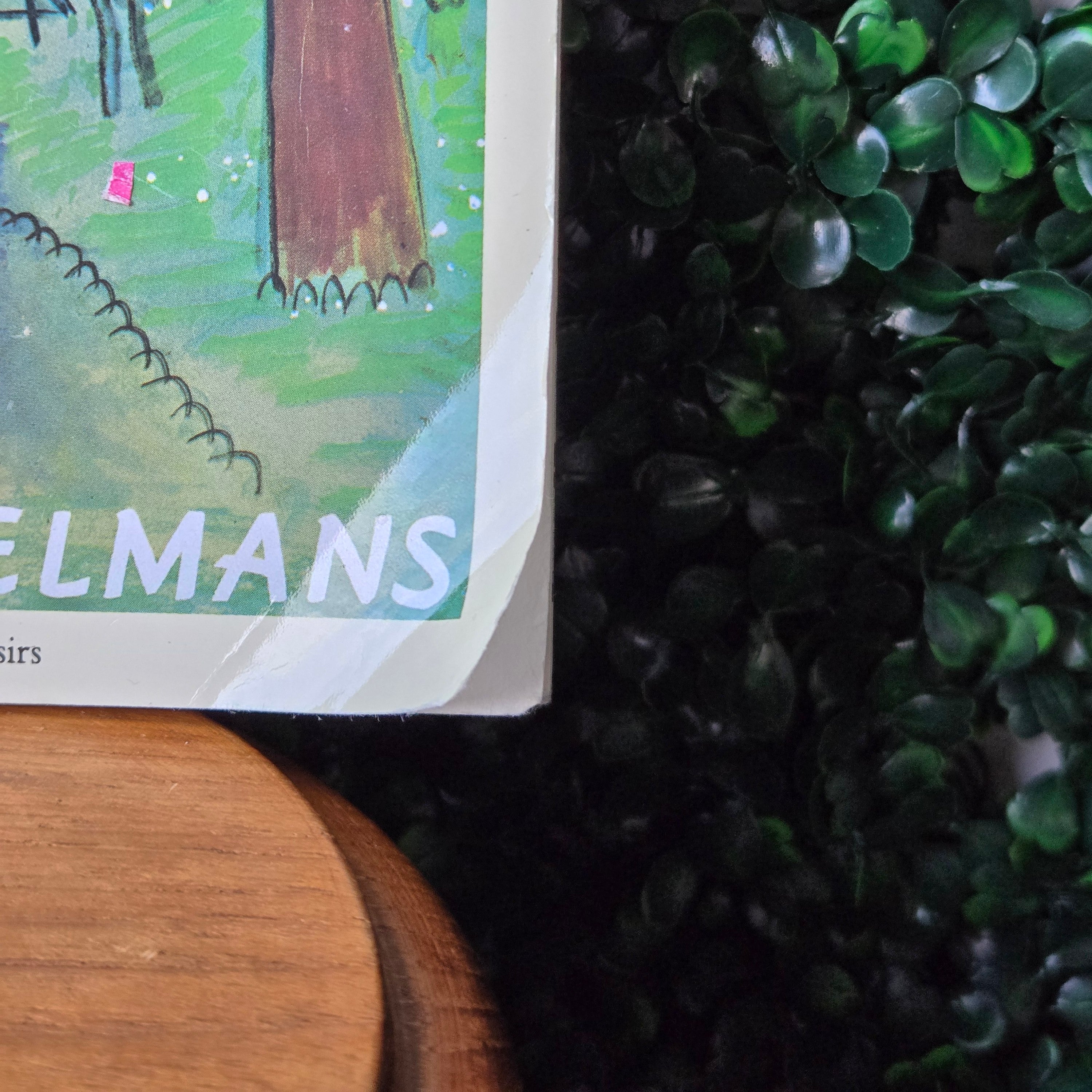 Madeline * Curated Secondhand Books